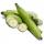 Бананы плантан (платано)  купить оптом - компания Global Consumo Import Export | Испания
