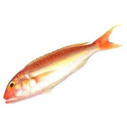 Red Sea Bream buy on the wholesale