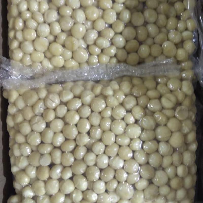 Whole Macadamia Nuts buy wholesale - company Ty Traders Pty Ltd | South Africa