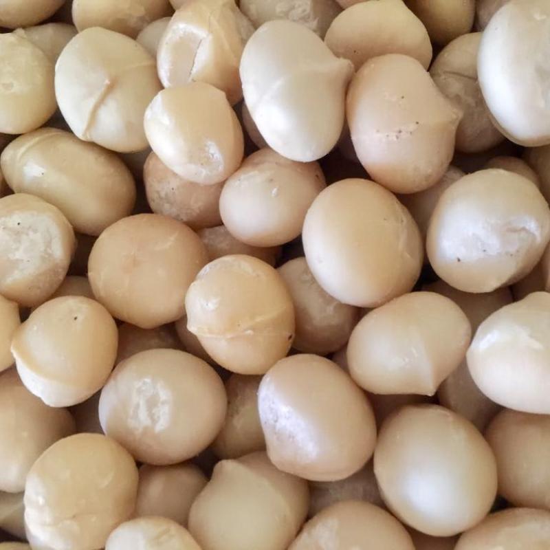 Whole Macadamia Nuts buy wholesale - company Ty Traders Pty Ltd | South Africa