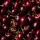 Dried Cherries buy wholesale - company Percee Trade International | Turkey