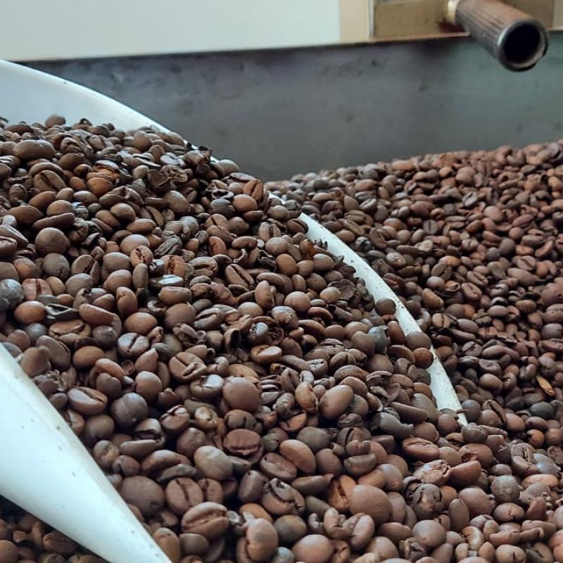 Кофе Робуста в зернах купить оптом - компания Duevvitrade | Италия