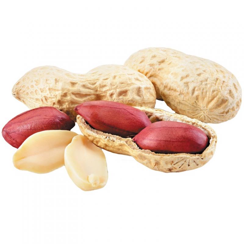 Peanuts buy wholesale - company Percee Trade International | Turkey