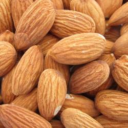 Almonds buy on the wholesale