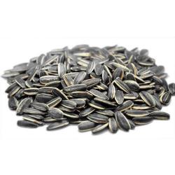 Sunflower Seeds buy on the wholesale