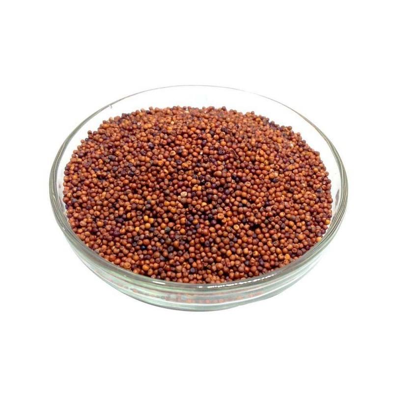 Finger Millet Seeds buy wholesale - company Omshathi International | India