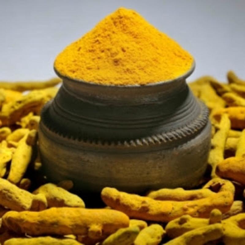 Turmeric Powder buy wholesale - company BDEX pvt ltd | India