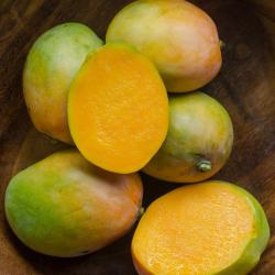 Mangoes buy on the wholesale