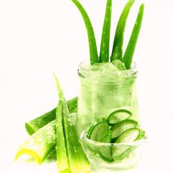 Natural Aloe Vera Juice with Pulp buy on the wholesale