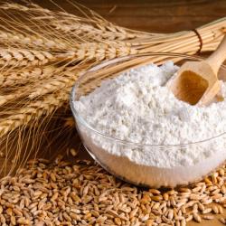 Wheat Flour buy on the wholesale