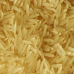 1121 Golden Sella Basmati Rice buy on the wholesale