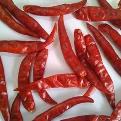 Dry Red Chillies