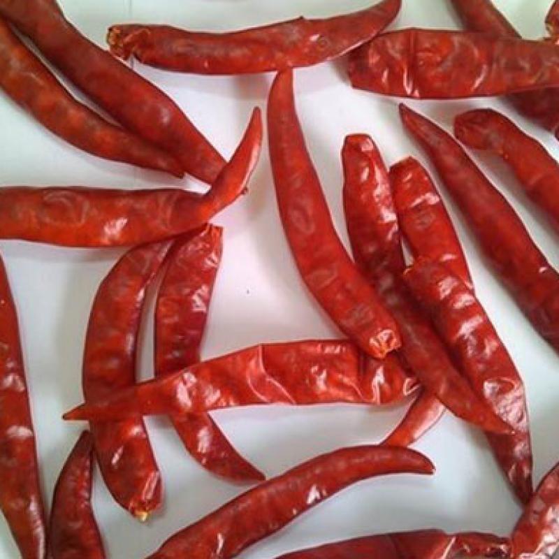 Dry Red Chillies buy wholesale - company Unique One International | India