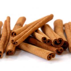 Cinnamon Sticks buy on the wholesale