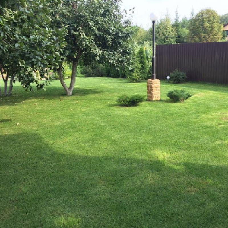Rolled Multi Purpose Lawn Grass  buy wholesale - company ООО 
