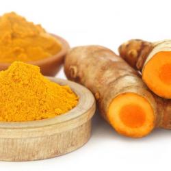 Turmeric Finger buy on the wholesale