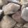 Sandstone  buy wholesale - company C R Stones | India