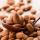 Almonds buy wholesale - company HrLotusCo | Turkey