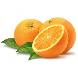 Апельсины купить оптом