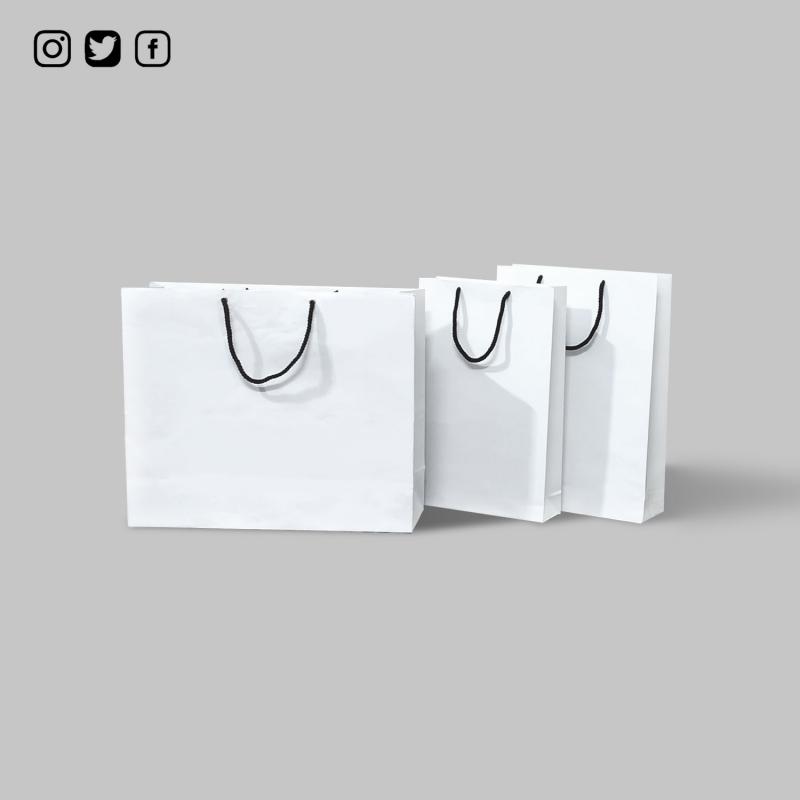 White Carry Bags buy wholesale - company Crystal Paper Works | India