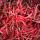 Красный перец Чили сушеный  купить оптом - компания VIGNA EXPORTS | Индия