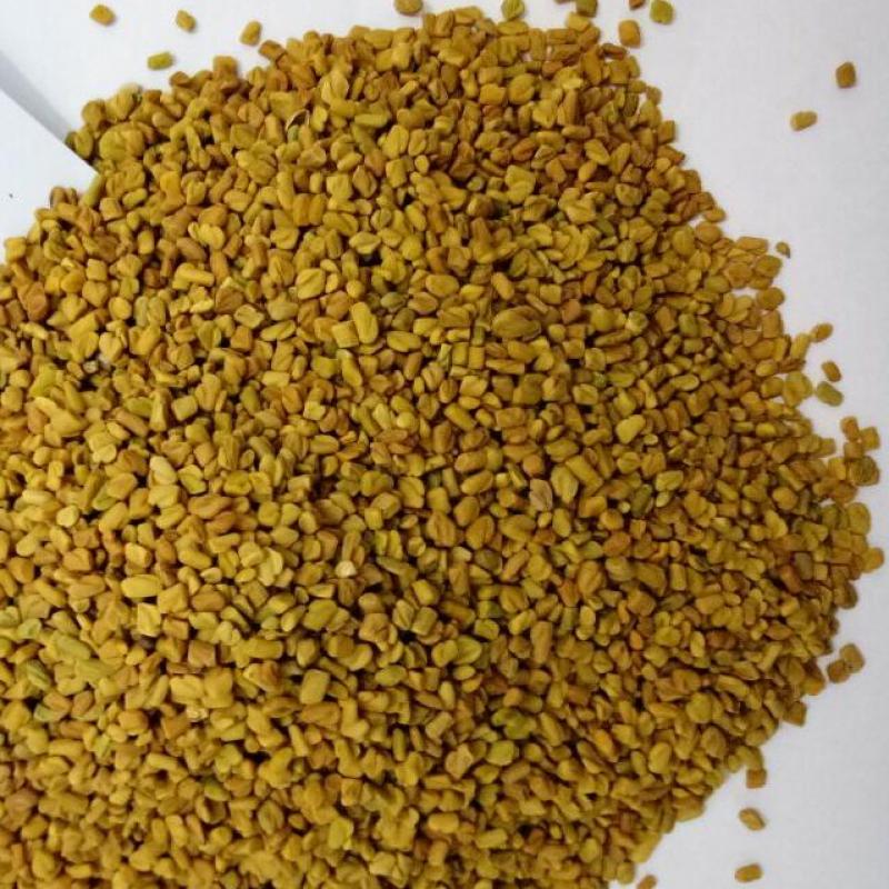 Fenugreek Seeds buy wholesale - company VIGNA EXPORTS | India