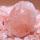 Гималайская розовая соль купить оптом - компания EAGLE FOODS INT'L | Пакистан