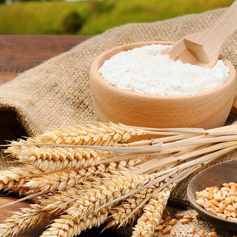 Wheat Flour buy wholesale - company Addas Industries | India