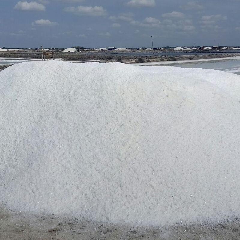 Salt buy wholesale - company Addas Industries | India