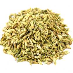 Fennel Seeds buy on the wholesale