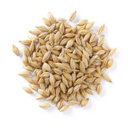 Barley buy on the wholesale