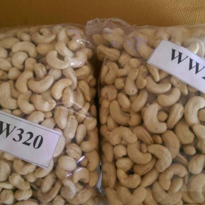 Cashew Nuts  buy wholesale - company Noix de cajou bruite et décortiqué | Togo
