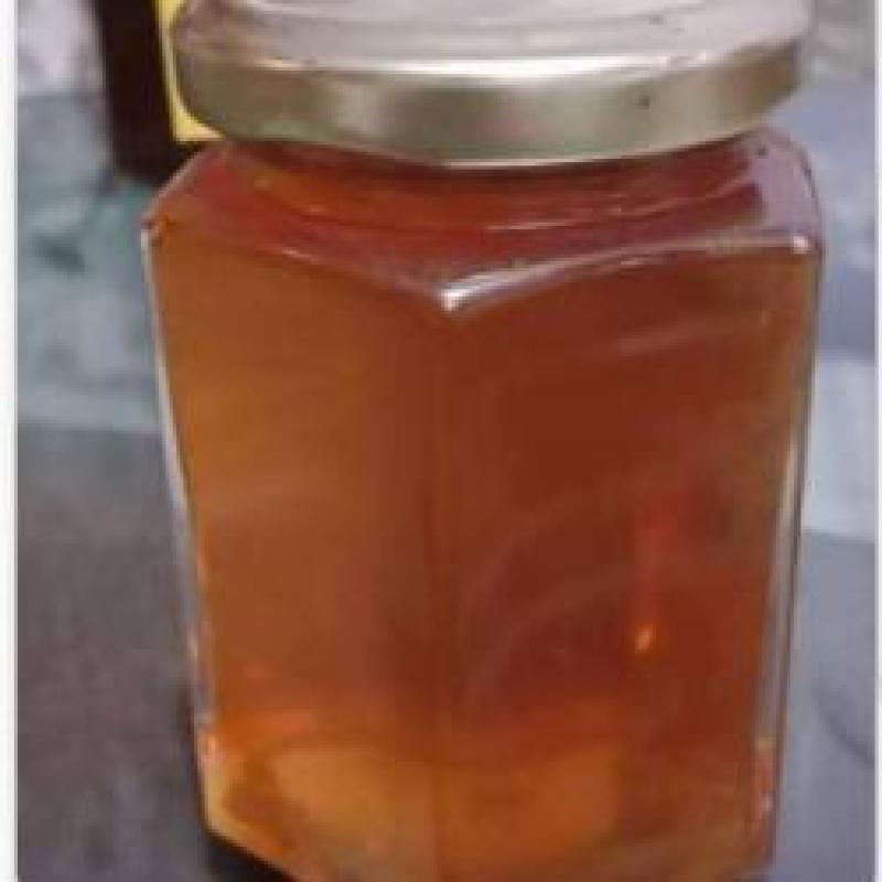 Мед мультифлора купить оптом - компания Jelin honey | Индия