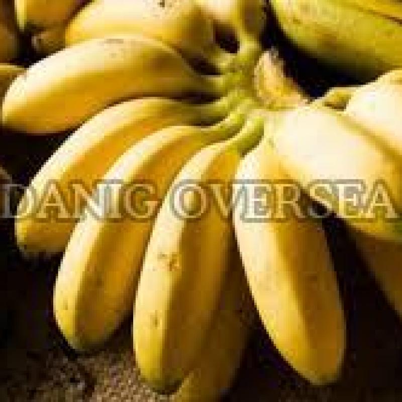 Fresh Banana buy wholesale - company Danig Oversea | India