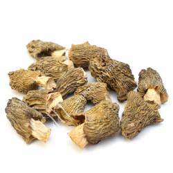 Dried Morel Mushrooms  buy on the wholesale