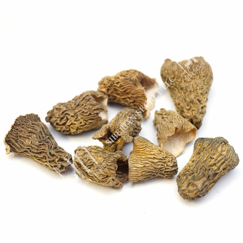 Dried Morel Mushrooms  buy wholesale - company ООО 