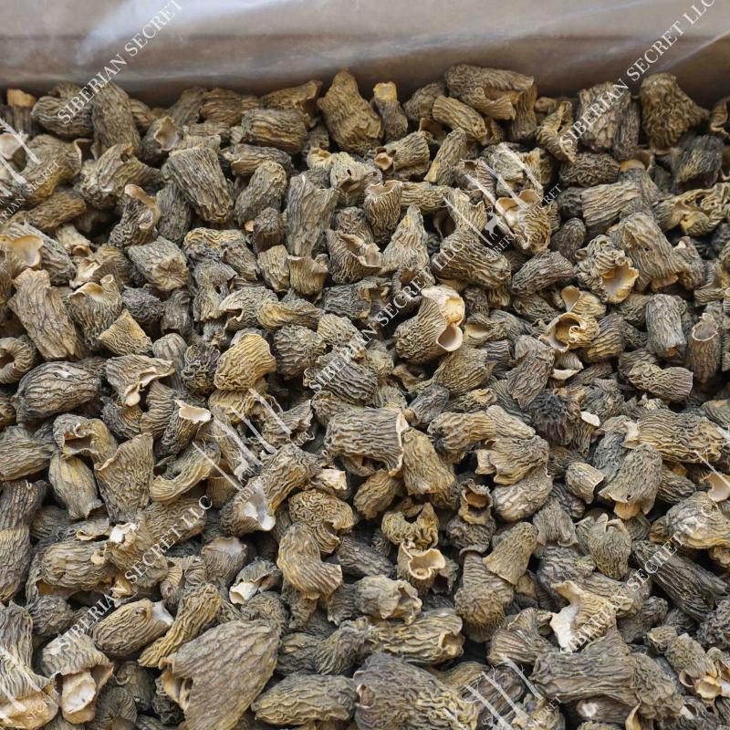 Dried Morel Mushrooms  buy wholesale - company ООО 