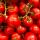 Tomatoes buy wholesale - company PLAN T İthalat İhracat Tarım San.ve Tic.Ltd.Şti | Turkey