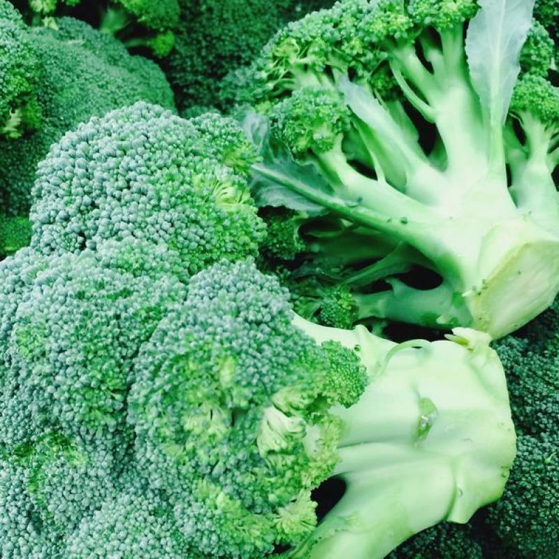 Broccoli buy wholesale - company PLAN T İthalat İhracat Tarım San.ve Tic.Ltd.Şti | Turkey