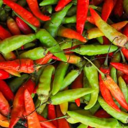 Red and Green Chillies buy on the wholesale