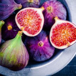 Figs buy on the wholesale