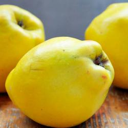 Quince buy on the wholesale