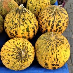 Melon buy on the wholesale