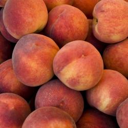 Peaches buy on the wholesale