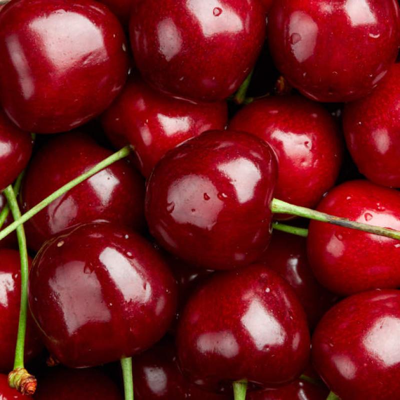 Cherries  buy wholesale - company PLAN T İthalat İhracat Tarım San.ve Tic.Ltd.Şti | Turkey