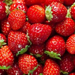 Strawberries buy on the wholesale
