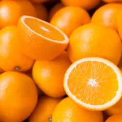 Oranges buy on the wholesale