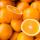 Oranges buy wholesale - company PLAN T İthalat İhracat Tarım San.ve Tic.Ltd.Şti | Turkey