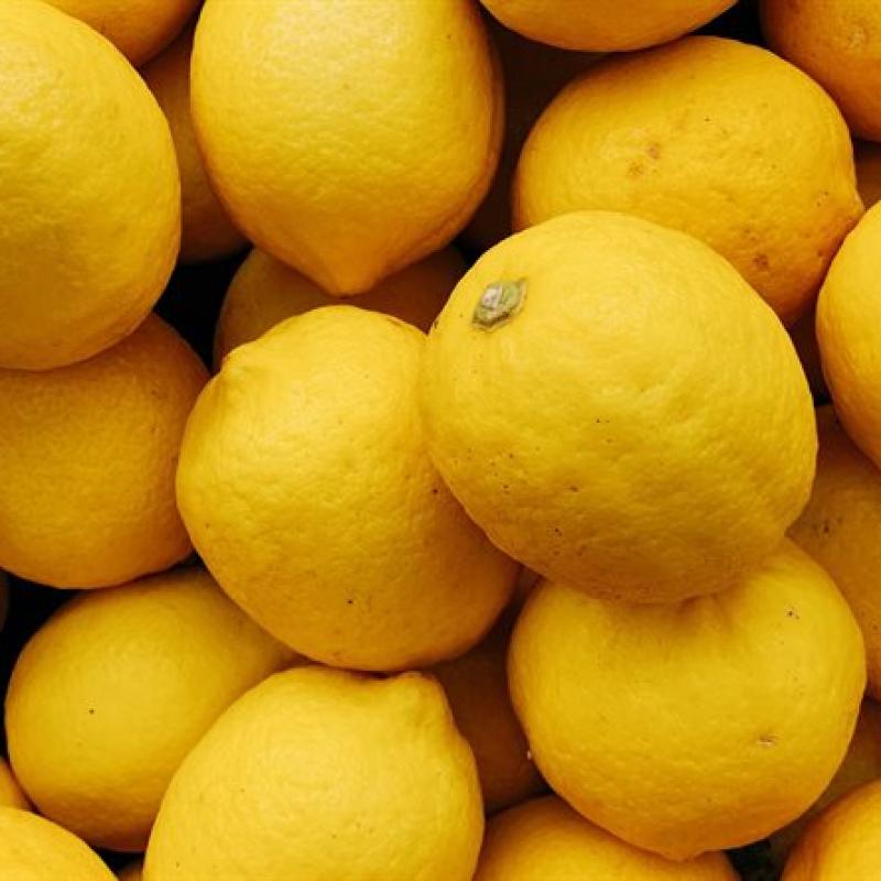 Lemons buy wholesale - company PLAN T İthalat İhracat Tarım San.ve Tic.Ltd.Şti | Turkey