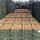 Kiwifruit buy wholesale - company Safiran Sepehr | Iran